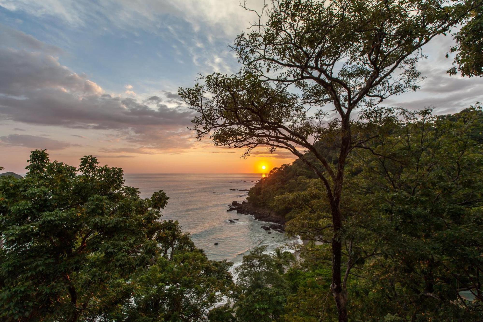Arenas Del Mar Beachfront & Rainforest Resort Member Of The Cayuga Collection Vườn quốc gia Vườn quốc gia Manuel Antonio Ngoại thất bức ảnh