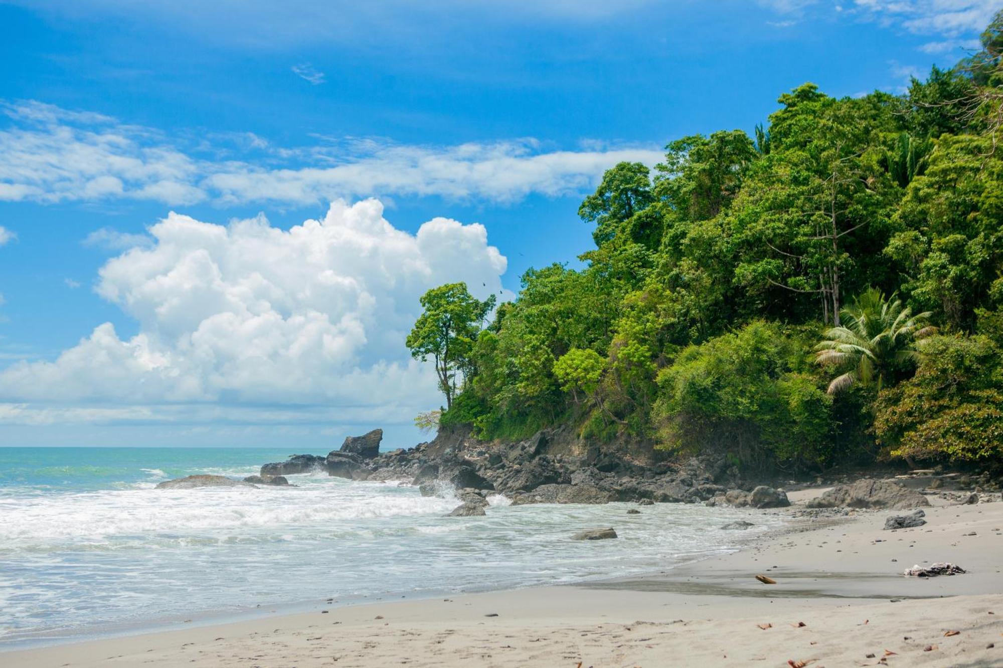 Arenas Del Mar Beachfront & Rainforest Resort Member Of The Cayuga Collection Vườn quốc gia Vườn quốc gia Manuel Antonio Ngoại thất bức ảnh