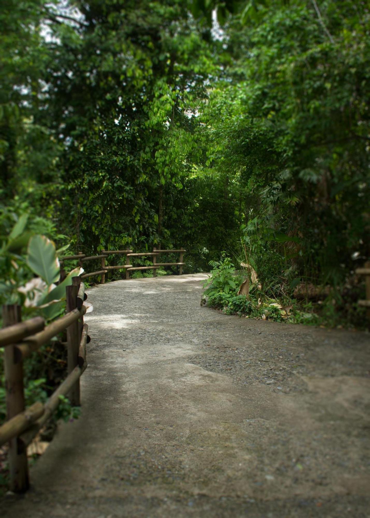 Arenas Del Mar Beachfront & Rainforest Resort Member Of The Cayuga Collection Vườn quốc gia Vườn quốc gia Manuel Antonio Ngoại thất bức ảnh