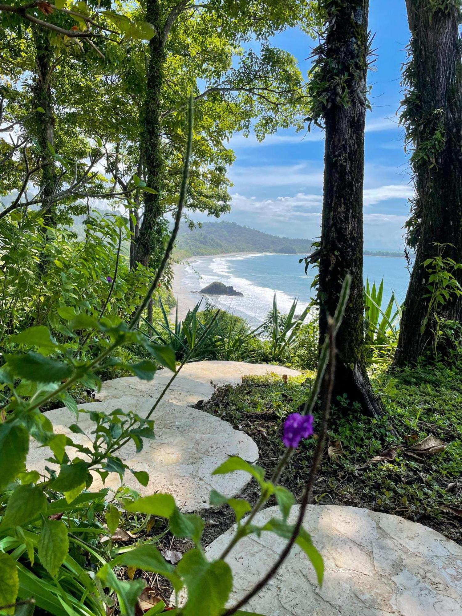 Arenas Del Mar Beachfront & Rainforest Resort Member Of The Cayuga Collection Vườn quốc gia Vườn quốc gia Manuel Antonio Ngoại thất bức ảnh